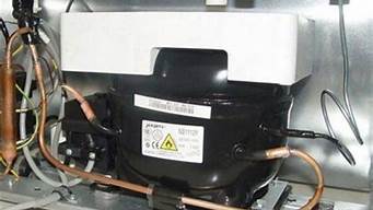 海尔冰箱的压缩机是哪里生产_海尔冰箱的压缩机是哪里生产的_1