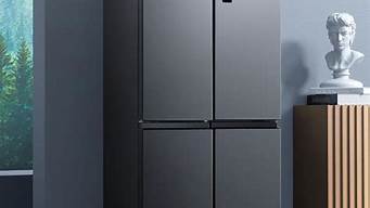冰箱品牌哪些好_冰箱品牌哪些好一点